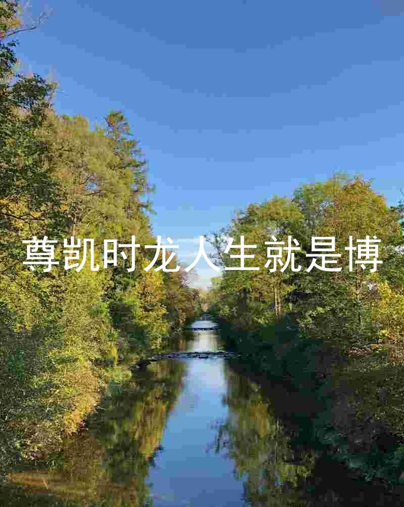 尊凯时龙人生就是博