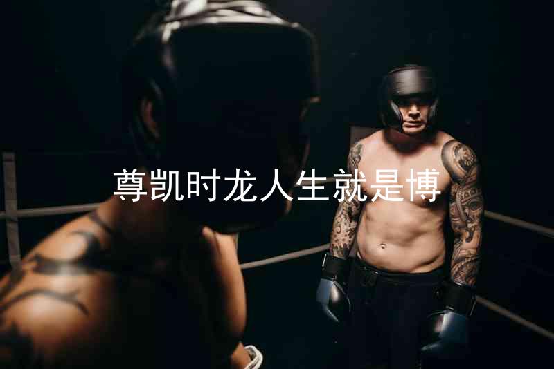 尊凯时龙人生就是博