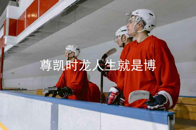 尊凯时龙人生就是博