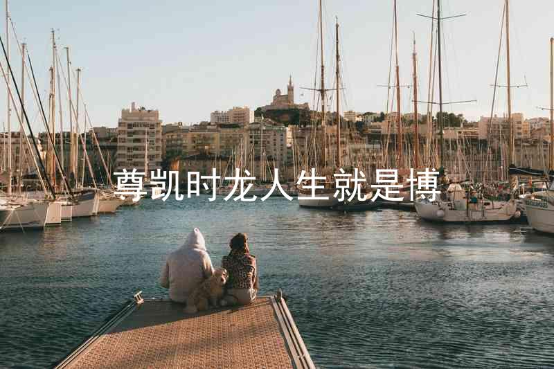 尊凯时龙人生就是博