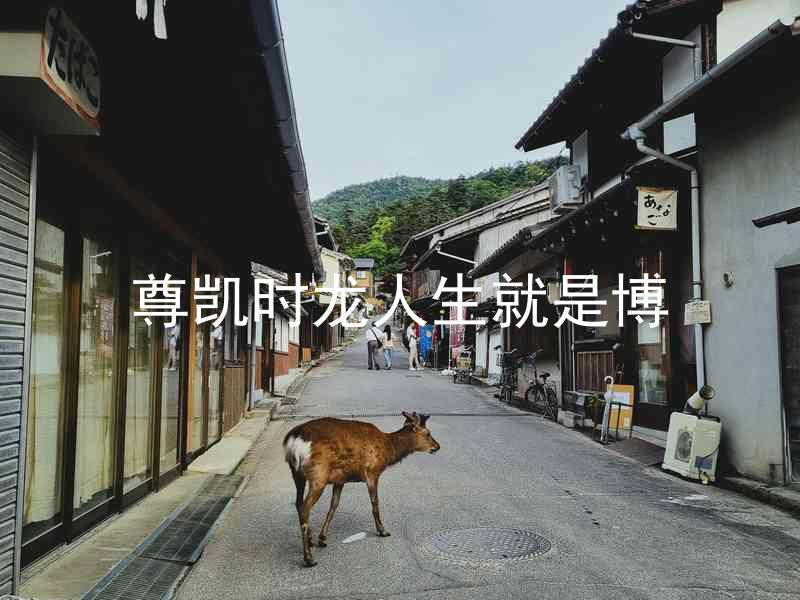 尊凯时龙人生就是博