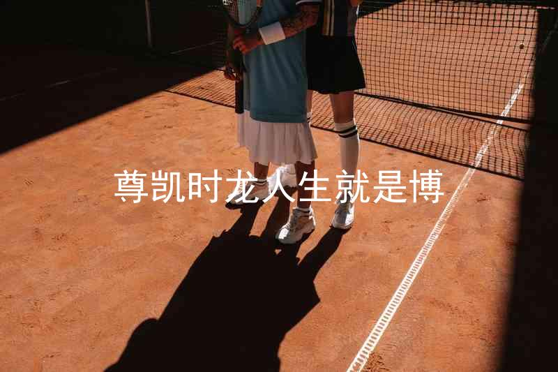 尊凯时龙人生就是博