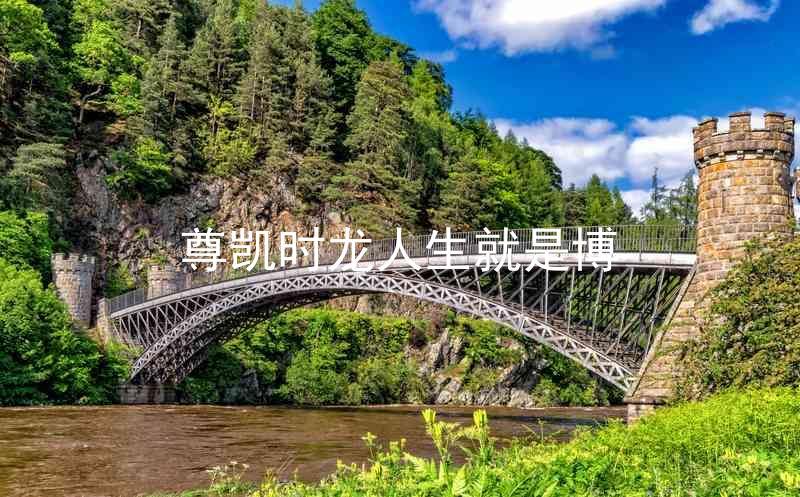 尊凯时龙人生就是博