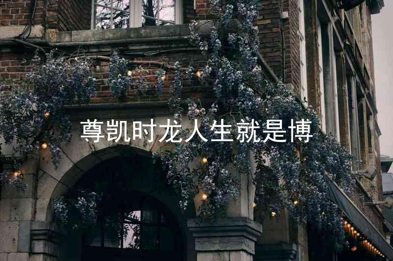 尊凯时龙人生就是博
